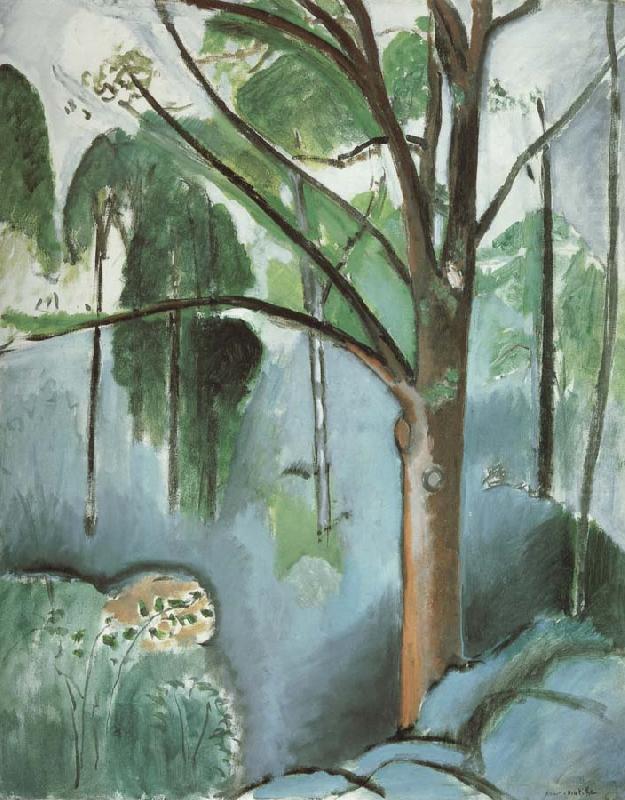 The Pond at trivaux mk209, Henri Matisse